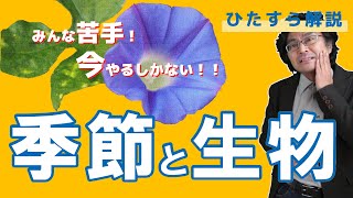 ６年生入試直前！覚えるの苦手？今やるしかない！季節と生物 [upl. by Michaeu]