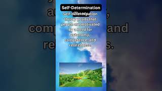 Self Determination Theory [upl. by Ydnelg]