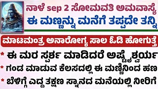 ನಾಳೆ ಸೋಮವತಿ ಅಮವಾಸ್ಯೆ ಇದೆ ಈ ಮಣ್ಣನ್ನು ಮನೆಗೆ ತಂದು ಮಿರಾಕಲ್ ನೋಡಿ Useful Information in Kannada amavasye [upl. by Bore714]