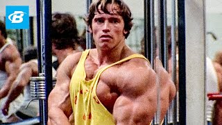 Best Bodybuilder of All Time  Arnold Schwarzeneggers Blueprint Training Program [upl. by Chaffinch]