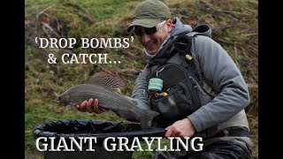 HOW TO CATCH GRAYLING DROPPING BOMBS [upl. by Jeane359]