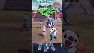 Pokemon Legends Arceus Shiny Oshawott Dewott and Samurott All Evolution pokemonlegendsarceus [upl. by Maurene]