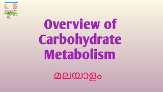 Overview of Carbohydrate Metabolism  Pathways  Biochemistry  Malayalam [upl. by Aicinod]