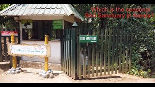 Kumarakom Bird Sanctuary Review Kerala India [upl. by Eblehs]