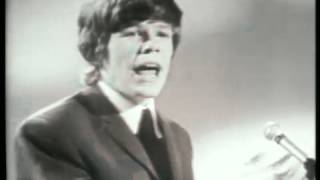 Hermans Hermits  Cant You Hear My Heartbeat [upl. by Abbotson]