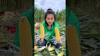 Amazing Tools for Corn 🌽 Farming  Essential Tool for Rural Farmer shorts youtubeshorts [upl. by Nitsyrk]