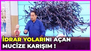 İdrar Yolları Nasıl Temizlenir  Feridun Kunak Show  5 Mart 2019 [upl. by Akit]