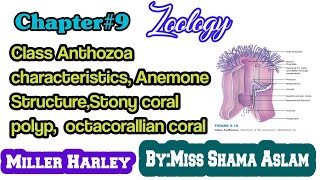 Ch9 Class Anthozoa characteristics Anemone StructureStony coral polyp octacorallian coral [upl. by Artkele]