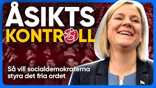 Så vill S vill KONTROLLERA din YTTRANDEFRIHET [upl. by Joost]