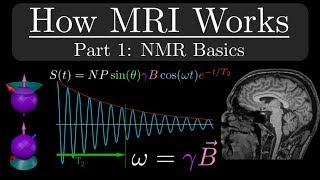 How MRI Works  Part 1  NMR Basics [upl. by Senior]