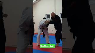 Bassai Dai bunkai karate bunkai martialarts [upl. by Joel]