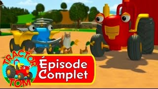 Tracteur Tom  52 Les Canards Sauvages épisode complet  Français [upl. by Allets950]