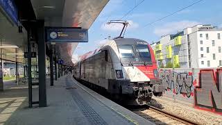 Wien Stadlau SBahn Wien S80 train nr 25031 REX 1 train Wiener Neustadt Břeclav [upl. by Acemahs491]