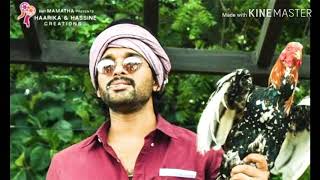 Sitharala sirapadu song lyrics translation in English from movie alavaikuntapuramlo [upl. by Nylareg]