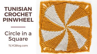 Tunisian Crochet Pinwheel Circle in Square  Step by Step Stitch Pattern  Tutorial for Beginners [upl. by Gaylord]