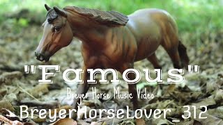 quotFamousquot  Breyer Music Video [upl. by Nuahsar]