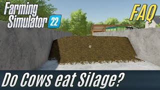 Do Cows eat Silage FS22 FAQ [upl. by Buddie]