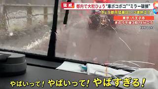 【猛威】｢うわっやばすぎる｣突然都内で猛スピードの大粒ひょう…車はボコボコ、ミラーも破損【めざまし８ニュース】 [upl. by Adnoel]