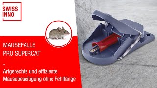 Mausefalle PRO SuperCat giftfrei amp effektiv von SWISSINNO [upl. by Rabush]