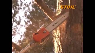 Podador de Altura Stihl  HT 101 [upl. by Elocel]