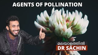 agents of pollination  class 12  sexual reproduction in flowering plants  malayalam [upl. by Bayer]