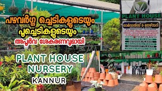 Best Exotic Fruit Plant Nursery In Kannur Kerala Fruit Plant Nursery visit in Kannur [upl. by Maharva]