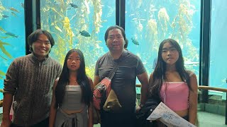 mus saib ntses at monterey bay aquarium zoo summer 2024 [upl. by Server]