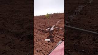 water management agriculture reels video satisfying video hydroponics farmlife organic [upl. by Stanway]