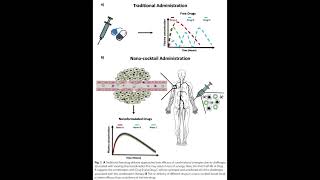 mPEGPLGA from PolySciTech used in development of anticancer PARPKinase inhibitor delivery systems [upl. by Corabel]