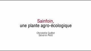 GROUPE INNOVANT  Sainfoin une plante agroécologique [upl. by Aliet]