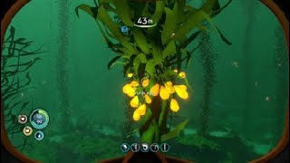 Tutorial como conseguir sedimento sulfúrico y goma de silicio en Subnautica [upl. by Chatterjee]