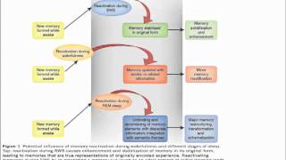 Prof Jacqueline London quotTherapeutical Approach for Trisomy 21 amp Alzheimer disease [upl. by Suravat]