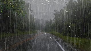 Lluvia Relajante Para Dormir en 5 Minutos  Ruido de Lluvia en el Bosque Neblinoso  ASMR [upl. by Tedmund919]