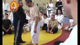 Aikido and Systema seminar demo [upl. by Courtland]