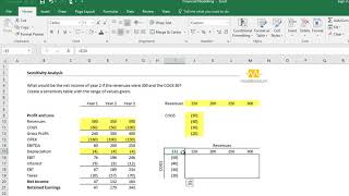 Analisis de sensibilidad  EXCEL [upl. by Hako]