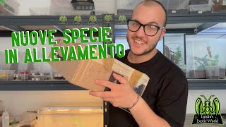 NUOVE SPECIE IN ALLEVAMENTO  Unboxing di Animali [upl. by Patten307]