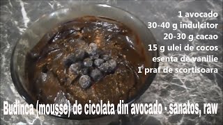 Budinca mousse de ciocolata din avocado  raw vegan [upl. by Tloc961]