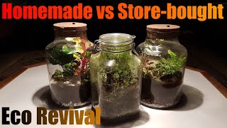 All Closed Terrariums Update  Homemade vs Storebought AND Eco Revival  What the fly [upl. by Cassie]