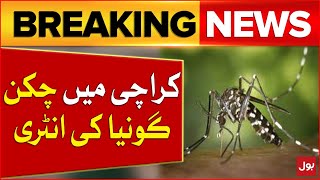 Chikungunya Spreading In Karachi  Emergency Alert  Breaking News [upl. by Ahsirpac]