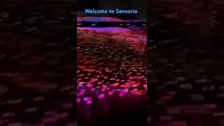 Sensorio video lights viralvideo shorts nature feeling [upl. by Madonna155]