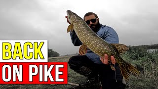 Finally out lure fishing for pike after the warm months [upl. by Solita652]