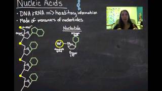 Nucleic Acids [upl. by Boylan283]