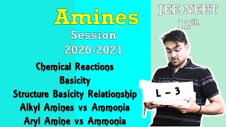 Amines  Basicity of Amines  Structure Basicity Relationship  L  3  JEE NEET BOARDS [upl. by Ube]