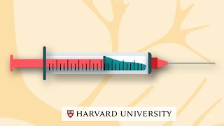 How mRNA vaccines work [upl. by Ydurt492]