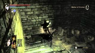 Demons Souls Expert Walkthrough 22  Black Phantom Primeval Demon Hunting Chronicles 22 [upl. by Lexy]