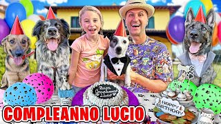 FESTA DI COMPLEANNO A SORPRESA DEL NOSTRO CANE LUCIO NELLA NOSTRA CASA CON GIORGIA E PAPÀ SALVO [upl. by Ecilegna]