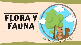 ¿Qué es la flora y fauna [upl. by Iaka822]