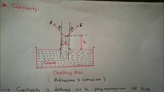 capillarity derivation capillary rise [upl. by Daffi493]