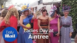 Aintree turns on the style for Ladies Day [upl. by Marduk]