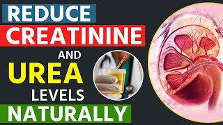 Reduce Creatinine and Urea Levels Naturally  Dr Puru Dhawan [upl. by Claudia]